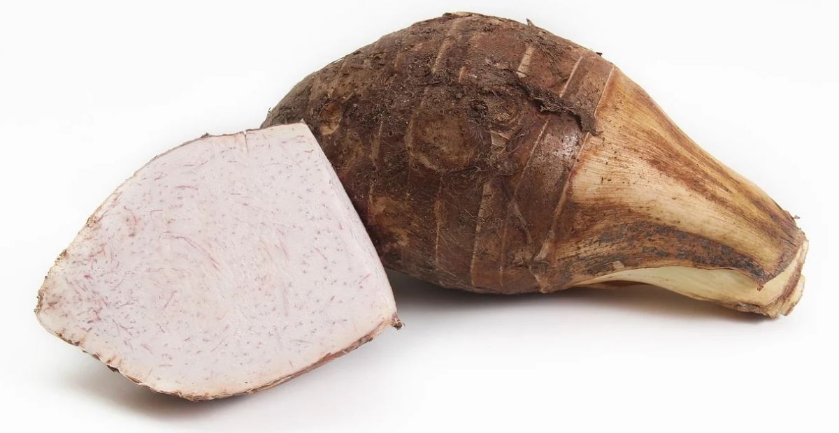 Kuliner Archives Lapis Bogor Sangkuriang