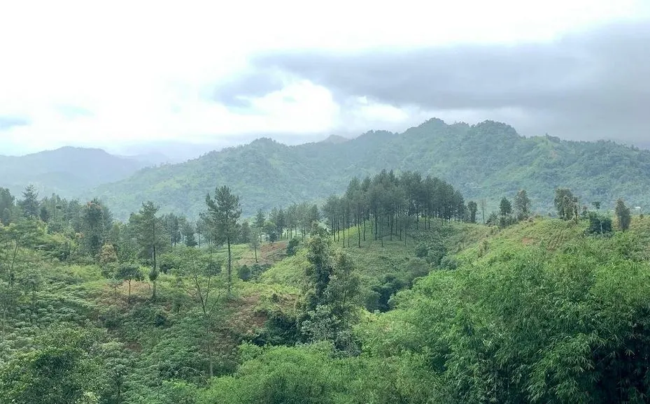 Bukit Paniisan Sentul