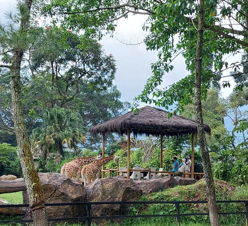 wahana di royal safari garden